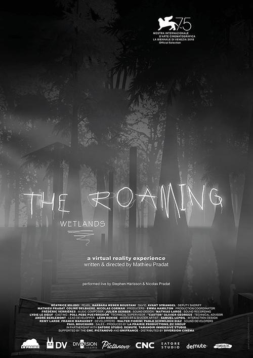 affiche the roaming